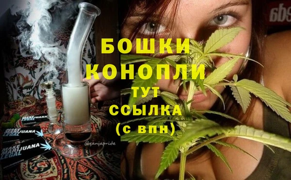 мдпв Янаул