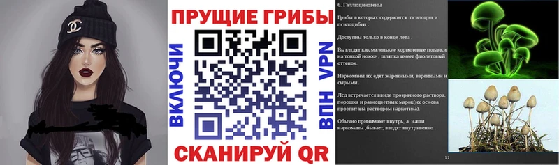 Псилоцибиновые грибы GOLDEN TEACHER  Курганинск 